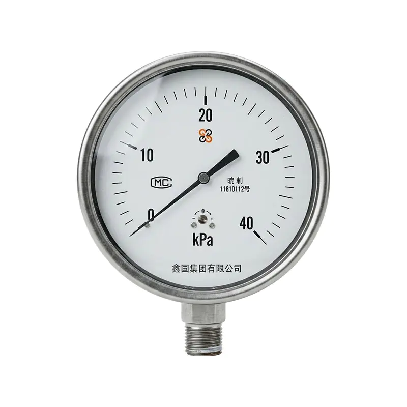 XG/YE-100B สแตนเลสไดอะแฟรมกล่องเกจวัดความดัน
